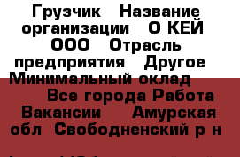 Грузчик › Название организации ­ О’КЕЙ, ООО › Отрасль предприятия ­ Другое › Минимальный оклад ­ 25 533 - Все города Работа » Вакансии   . Амурская обл.,Свободненский р-н